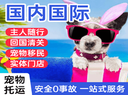西郊机场物流国际宠物托运 【国